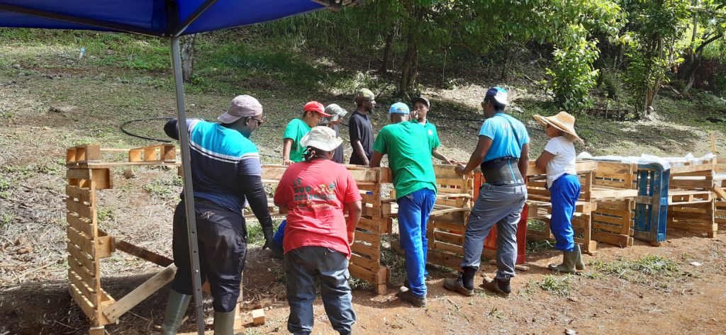 Atelier Chantier d'Insertion
à Rivière Pilote (97220 Martinique)
Réalisation de tables de culture